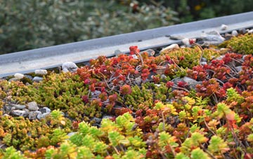 the cost of Holmpton green roof installation