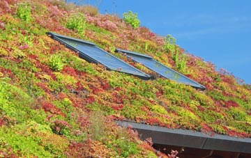 Holmpton living roof systems