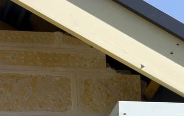soffit repair Holmpton